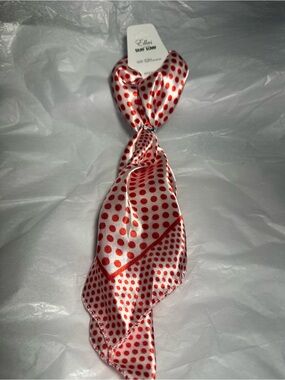 Ella Red and White Polka Dot Satin Neck Scarf